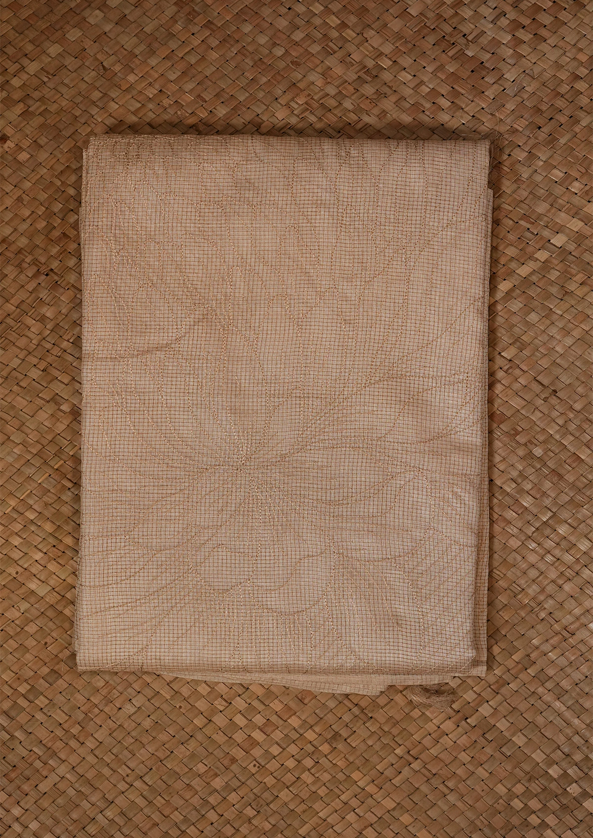 Beige Tussar Saree
